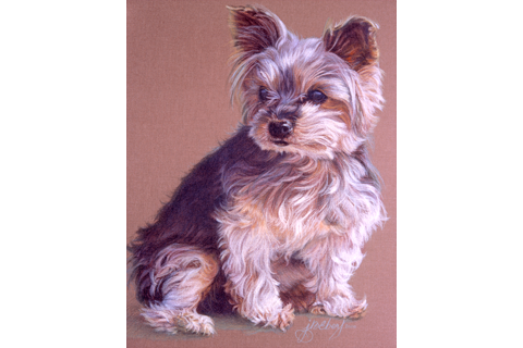 Colored Pencil